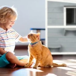 Relaxdays Casa Per Gatti, Villa Per Felini A 2 Piani, 3 Entrate, 2 Scalini, Legno Di Pino, 81,5x63x45,5cm, Grigio Bianco -Cibi per gatti Italia 53834649 3