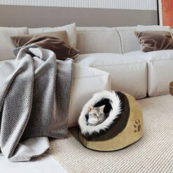 Todeco Grotta Per Animali Ripieni, Casa Di Gatto - Materiale: Spugna Morbida - Accessori: (1x) Cuscino Rimovibile - 48 X 43 X 32 Cm, Marrone -Cibi per gatti Italia 54376739 4