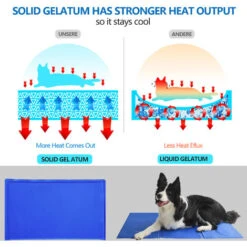 Hengda Enroling Mat Pillo Para Almohadas De Almohada De Enfriamiento De Perro 11 Hengda Enroling Mat Pillo Para Almohadas De Almohada De Enfriamiento De Perro -Cibi per gatti Italia 58392177 5
