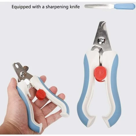HIASDFLS Pet Claw Care Nail Clipper Beauty Tool Puppy Cat Parrot (S, Blu) 7 HIASDFLS Pet Claw Care Nail Clipper Beauty Tool Puppy Cat Parrot (S, Blu) - immagine 5