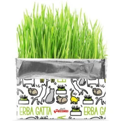 Record Erba Gatta In Busta Da 120 Gr