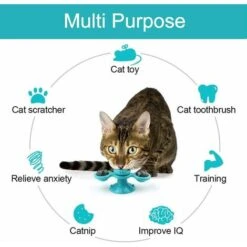 Ciotole Per Gatti, Ciotole Per Gatti, Ciotole Per Gatti In Acciaio Inossidabile Antiscivolo, Ciotole Per Gatti, Ciotole Per Gatti, Ciotole Per Cani Inclinate, Ciotole Per Gatti Per Cibo E Acqua Per Cu -Cibi per gatti Italia 63849403 3