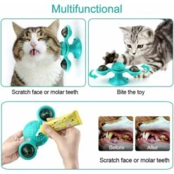 Ciotole Per Gatti, Ciotole Per Gatti, Ciotole Per Gatti In Acciaio Inossidabile Antiscivolo, Ciotole Per Gatti, Ciotole Per Gatti, Ciotole Per Cani Inclinate, Ciotole Per Gatti Per Cibo E Acqua Per Cu -Cibi per gatti Italia 63849403 4