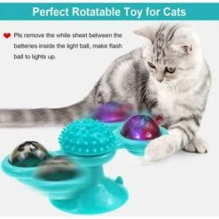 Ciotole Per Gatti, Ciotole Per Gatti, Ciotole Per Gatti In Acciaio Inossidabile Antiscivolo, Ciotole Per Gatti, Ciotole Per Gatti, Ciotole Per Cani Inclinate, Ciotole Per Gatti Per Cibo E Acqua Per Cu -Cibi per gatti Italia 63849403 5