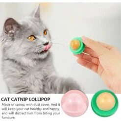 Palla Di Erba Gatta, Giocattolo Di Erba Gatta, Giocattolo Palla Di Erba Gatta, Base Giocattolo Palla Di Erba Gatta, Nessuna Palla Di Caramelle/menta Per Gatto 10 Palla Di Erba Gatta, Giocattolo Di Erba Gatta, Giocattolo Palla Di Erba Gatta, Base Giocattolo Palla Di Erba Gatta, Nessuna Palla Di Caramelle/menta Per Gatto -Cibi per gatti Italia 63851715 4