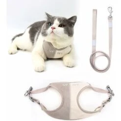 Kueatily Pettorina E Guinzaglio Per Cani Di Piccola Taglia (S, Caffè Chiaro)