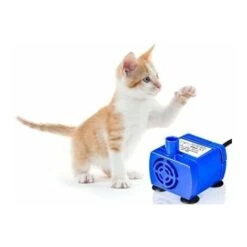 Pompa Per Fontana Per Gatti, Pompa Dell'acqua Automatica Silenziosa, Pompa Dell'acqua Sommergibile (capacità Di 1,6 Litri, Cavo Da 1,8 M Incluso, Compatibile Con Pompa Dell'acqua Elettrica Da 12 V, Bl 9 Pompa Per Fontana Per Gatti, Pompa Dell'acqua Automatica Silenziosa, Pompa Dell'acqua Sommergibile (capacità Di 1,6 Litri, Cavo Da 1,8 M Incluso, Compatibile Con Pompa Dell'acqua Elettrica Da 12 V, Bl -Cibi per gatti Italia 66561854 3