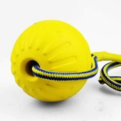 LTS FAFA Palla Da Lancio In Gomma Naturale Con Corda Per Cani Di Piccola Taglia E Cuccioli Diametro 9 Cm -Cibi per gatti Italia 67412225 3