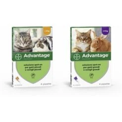 Bayer Antiparassitario Advantage Per Gatti E Conigli 4 Kg E Oltre