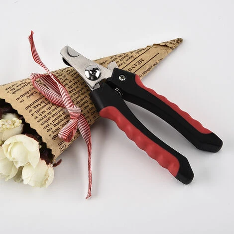 Strumenti Per La Pulizia Degli Animali Domestici, Tagliaunghie Per Animali Domestici In Acciaio Inossidabile, Tagliaunghie Per Cuccioli Di Animali Domestici, Tagliaunghie Per Cani E Gatti 5 Strumenti Per La Pulizia Degli Animali Domestici, Tagliaunghie Per Animali Domestici In Acciaio Inossidabile, Tagliaunghie Per Cuccioli Di Animali Domestici, Tagliaunghie Per Cani E Gatti - immagine 3