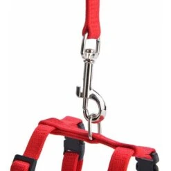 GroupM ITRed Cat Guinzaglio Cinturino Pettorale In Nylon A Forma Di I Cat Walking Guinzaglio Cinturino Pettorale Per Gatti -Cibi per gatti Italia 69490952 3