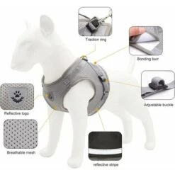 GroupM ENSilver Grey Taglia S Gilet Per Cani Guinzaglio Per Cani Traspirante Riflettente Cinghia Per Animali Domestici -Cibi per gatti Italia 69492133 3