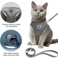 GroupM ENSilver Grey Taglia S Gilet Per Cani Guinzaglio Per Cani Traspirante Riflettente Cinghia Per Animali Domestici -Cibi per gatti Italia 69492133 4
