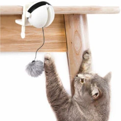 GroupM ENFunny Cat Giocattolo Interattivo Con Sollevamento Elettrico Palla Autorigenerante (bianco)