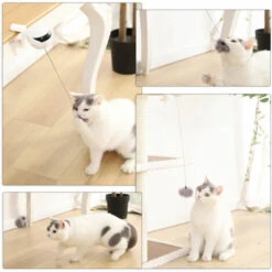 GroupM ENFunny Cat Giocattolo Interattivo Con Sollevamento Elettrico Palla Autorigenerante (bianco) -Cibi per gatti Italia 69493373 3