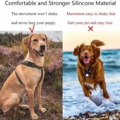 Kueatily Custodia Protettiva Compatibile Con Collare Per Animali Domestici, Custodia Protettiva In Silicone Con 5 Proteggi Schermo HD, 4 Pezzi (nero + Blu Scuro + Rosso Vino + Verde Scuro) -Cibi per gatti Italia 69535521 3