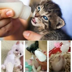 Biberon Per Gattini Per Cuccioli, Biberon Per Allattamento Per Cuccioli Spazzola Per La Pulizia Dell'allattamento Per Cani E Gatti Appena Nati Pet Pet-60ml -Cibi per gatti Italia 69715162 5