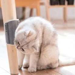 4 Pezzi Spazzola Angolare Per Toelettatura Per Gatti, Spazzola Da Parete Per Gatti, Pettine Per Massaggio Angolare Gatto, Strumento Per Automassaggio Per Gatti, Per Gatti A Pelo Lungo E Corto (Grigio) -Cibi per gatti Italia 69716977 4