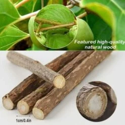 MINKUROW 30 Bastoncini Di Erba Gatta Naturale Matatabi Per Ossequi Dentali -Cibi per gatti Italia 69785625 3