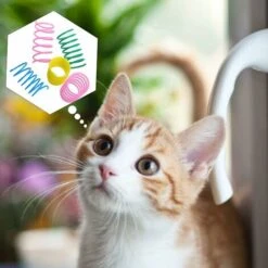 MINKUROW 12 Pezzi Colorati Giocattoli A Spirale Per Gatti Molle In Plastica Robusti Giocattoli Interattivi Per Gatti Gattini Animali Regalo Novità(Colore Casuale) 10 MINKUROW 12 Pezzi Colorati Giocattoli A Spirale Per Gatti Molle In Plastica Robusti Giocattoli Interattivi Per Gatti Gattini Animali Regalo Novità(Colore Casuale) -Cibi per gatti Italia 69786241 4