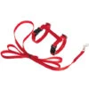 Karlie K&F Art Sportiv Arnés+Red Correa 10mm Correa 120 Cm -Cibi per gatti Italia 70566297 1