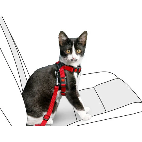 Karlie K & F ARM SICUREZZA 15mm Di Rosso 3 Karlie K & F ARM SICUREZZA 15mm Di Rosso