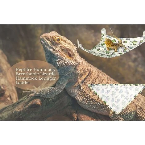 Amaca Lucertola Rettile, Lettino A Forma Di Drago Barbuto, Altalena, Letto Per Animali Domestici Sospeso Con Ventosa Adesiva 7 Amaca Lucertola Rettile, Lettino A Forma Di Drago Barbuto, Altalena, Letto Per Animali Domestici Sospeso Con Ventosa Adesiva - immagine 5