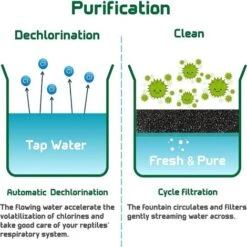 Rettile Camaleonte Fontana Abbeveratoio Per Anfibi Insetti, Lucertole, Tartarughe, Serpenti, Ragni -Cibi per gatti Italia 71080767 4