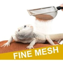 2 Pezzi Setaccio Sabbia Per Rettili In Acciaio Inox Detergente Per Substrato Per Terrari Per Accessori Serbatoio Drago Barbuto -Cibi per gatti Italia 71081104 3