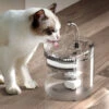 ZOLGINAH Fontana Automatica Per Cani E Gatti, Distributore Di Acqua Per Gatti Trasparente Con Filtro Di Ricambio, Elettrico Ultra Silenzioso 2 ZOLGINAH Fontana Automatica Per Cani E Gatti, Distributore Di Acqua Per Gatti Trasparente Con Filtro Di Ricambio, Elettrico Ultra Silenzioso -Cibi per gatti Italia 71129224 1