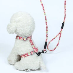 Corda Di Trazione Per Animali Domestici, Imbracatura Toracica A Forma Di I, Corda Di Trazione Regolabile Per Prevenire L'allentamento (polvere S 1.5 Kg-3 Kg)