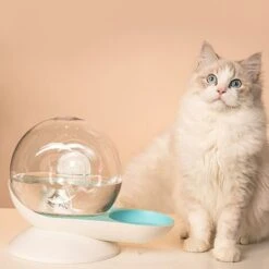 Fontana Automatica Per Ciotola D'acqua Per Gatti A Bolle Di Lumache Per Animali Domestici Che Bevono Grande Distributore Di Acqua -Cibi per gatti Italia 71371945 4