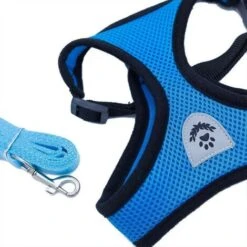 GroupM Collari, Imbracature E Guinzagli Per Cani, Guinzaglio Per Animali Domestici (blu XL) 8 GroupM Collari, Imbracature E Guinzagli Per Cani, Guinzaglio Per Animali Domestici (blu XL) -Cibi per gatti Italia 71401444 2