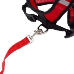 Collari, Imbracature E Guinzagli Per Cani GroupM, Guinzaglio Per Gilet Per Animali Domestici (rosso L) 9 Collari, Imbracature E Guinzagli Per Cani GroupM, Guinzaglio Per Gilet Per Animali Domestici (rosso L) -Cibi per gatti Italia 71401458 3