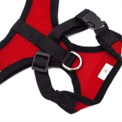 Collari, Imbracature E Guinzagli Per Cani GroupM, Guinzaglio Per Gilet Per Animali Domestici (rosso XL) -Cibi per gatti Italia 71401752 4