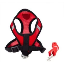 Collari, Imbracature E Guinzagli Per Cani GroupM, Guinzaglio Per Gilet Per Animali Domestici (rosso XL) -Cibi per gatti Italia 71401752 5