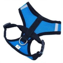 Collari, Imbracature E Guinzagli Per Cani GroupM, Guinzaglio Per Gilet Per Animali Domestici (blu L) -Cibi per gatti Italia 71402015 3