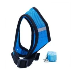 Collari, Imbracature E Guinzagli Per Cani GroupM, Guinzaglio Per Gilet Per Animali Domestici (blu L) -Cibi per gatti Italia 71402015 4
