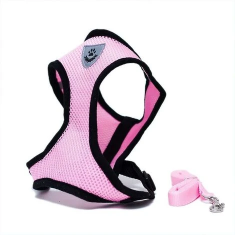 Collari, Imbracature E Guinzagli Per Cani GroupM, Guinzaglio Per Cani (rosa M) 4 Collari, Imbracature E Guinzagli Per Cani GroupM, Guinzaglio Per Cani (rosa M) - immagine 2