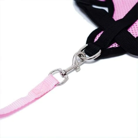Collari, Imbracature E Guinzagli Per Cani GroupM, Guinzaglio Per Cani (rosa M) 6 Collari, Imbracature E Guinzagli Per Cani GroupM, Guinzaglio Per Cani (rosa M) - immagine 4
