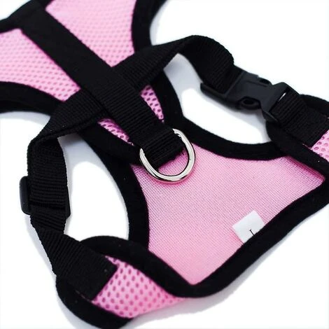 Collari, Imbracature E Guinzagli Per Cani GroupM, Guinzaglio Per Cani (rosa M) 7 Collari, Imbracature E Guinzagli Per Cani GroupM, Guinzaglio Per Cani (rosa M) - immagine 5