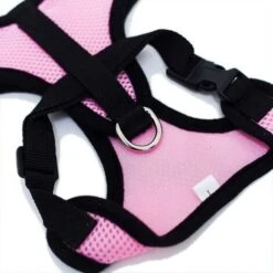 Collari, Imbracature E Guinzagli Per Cani GroupM, Guinzaglio Per Cani (rosa XL) -Cibi per gatti Italia 71402440 5