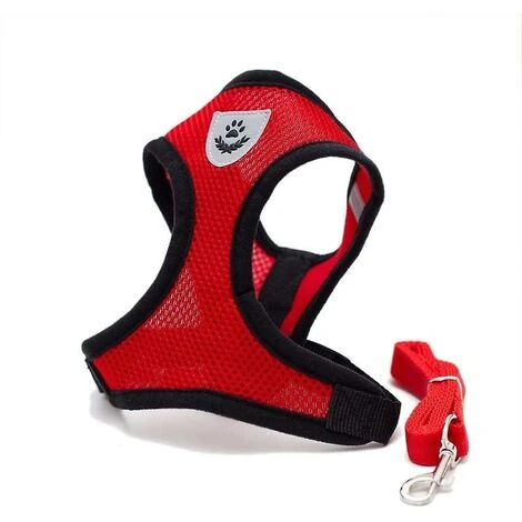 Collari, Imbracature E Guinzagli Per Cani GroupM, Guinzaglio Per Gilet Per Animali Domestici (rosso S) 3 Collari, Imbracature E Guinzagli Per Cani GroupM, Guinzaglio Per Gilet Per Animali Domestici (rosso S)