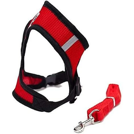 Collari, Imbracature E Guinzagli Per Cani GroupM, Guinzaglio Per Gilet Per Animali Domestici (rosso S) 4 Collari, Imbracature E Guinzagli Per Cani GroupM, Guinzaglio Per Gilet Per Animali Domestici (rosso S) - immagine 2