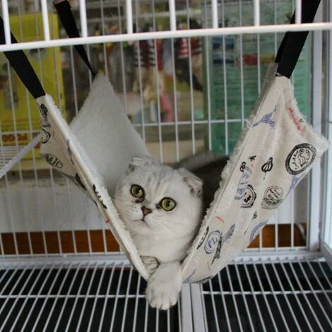 Amaca Con Gabbia Per Gatti GroupM, Amaca Per Gatti/furetti/ratti/conigli/cani Di Piccola Taglia O Altri Animali Domestici (L, 5335, Leopard) 4 Amaca Con Gabbia Per Gatti GroupM, Amaca Per Gatti/furetti/ratti/conigli/cani Di Piccola Taglia O Altri Animali Domestici (L, 5335, Leopard) - immagine 2