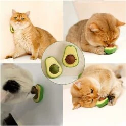 Palla Di Erba Gatta, Palla Di Erba Gatta A Parete, Giocattoli Di Erba Gatta Rotanti, Giocattoli Di Erba Gatta Commestibili Per Gatti -Cibi per gatti Italia 71884471 5