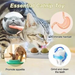 3 In 1 Palla Di Erba Gatta, Palla Di Erba Gatta Montata A Parete, Giocattolo Per Gatti Da Interno Rotante, Giocattoli Di Erba Gatta Commestibili Per Gatti 9 3 In 1 Palla Di Erba Gatta, Palla Di Erba Gatta Montata A Parete, Giocattolo Per Gatti Da Interno Rotante, Giocattoli Di Erba Gatta Commestibili Per Gatti -Cibi per gatti Italia 71884575 3