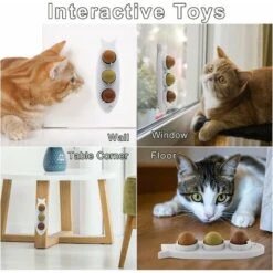 3 In 1 Palla Di Erba Gatta, Palla Di Erba Gatta Montata A Parete, Giocattolo Per Gatti Da Interno Rotante, Giocattoli Di Erba Gatta Commestibili Per Gatti 11 3 In 1 Palla Di Erba Gatta, Palla Di Erba Gatta Montata A Parete, Giocattolo Per Gatti Da Interno Rotante, Giocattoli Di Erba Gatta Commestibili Per Gatti -Cibi per gatti Italia 71884575 5