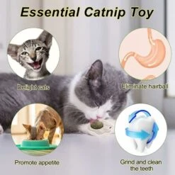 Palla Di Erba Gatta, Palla Di Erba Gatta Montata A Parete, Giocattoli Di Erba Gatta Rotante, Giocattoli Di Erba Gatta Commestibili Per Gatti -Cibi per gatti Italia 71884604 2