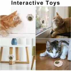 Palla Di Erba Gatta, Palla Di Erba Gatta Montata A Parete, Giocattoli Di Erba Gatta Rotante, Giocattoli Di Erba Gatta Commestibili Per Gatti -Cibi per gatti Italia 71884604 5